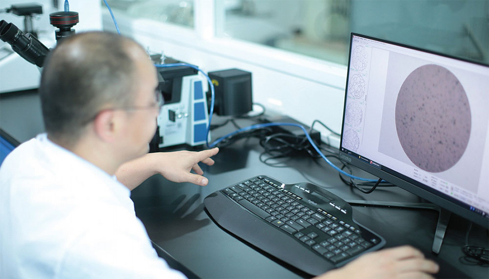  金相分析和腐蚀试验